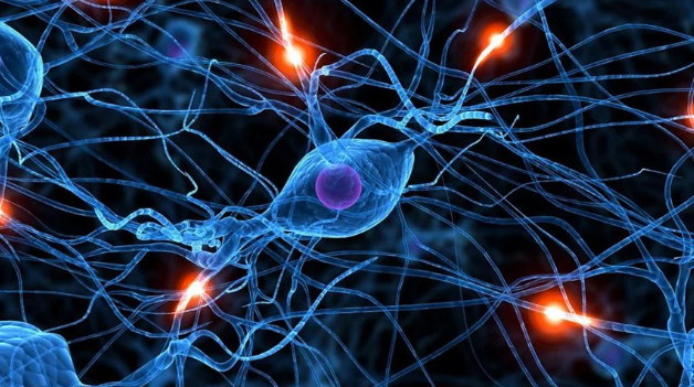 Les réseaux de neurones convolutifs